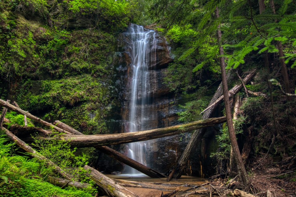 Silver fall, Big Basin. California.